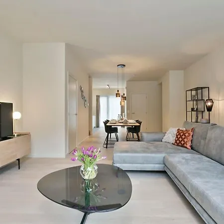 Casiola - House In A Prestigious New Project Near The Feriehus Oostende